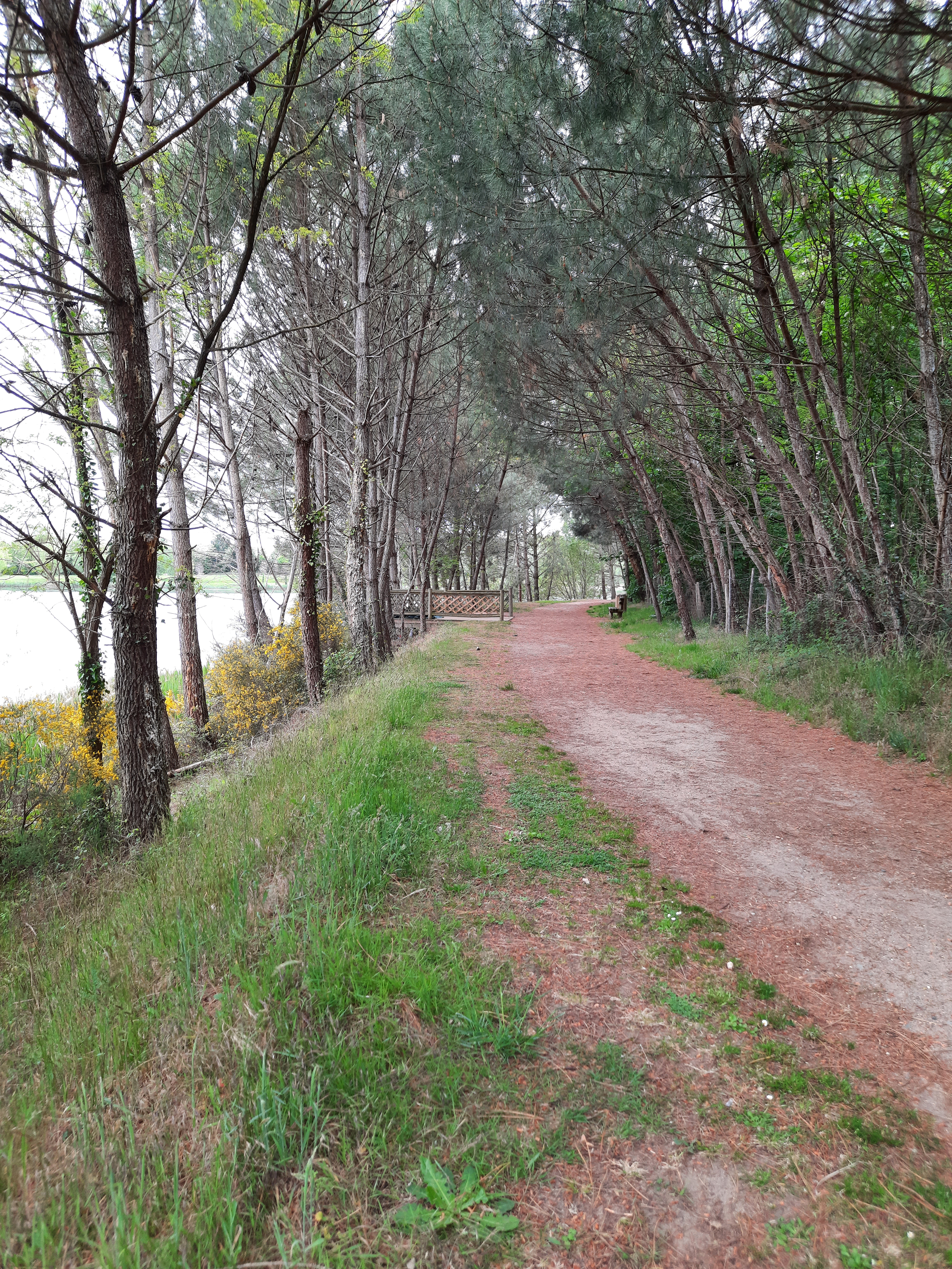 Photo n° 2 de l'avis de Emmanuel.e fait le 26/05/2021 à 17:14
