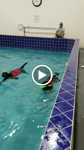 Pet Supply Store «Pet Depot Inc», reviews and photos, 2151 Greenspring Dr, Lutherville-Timonium, MD 21093, USA