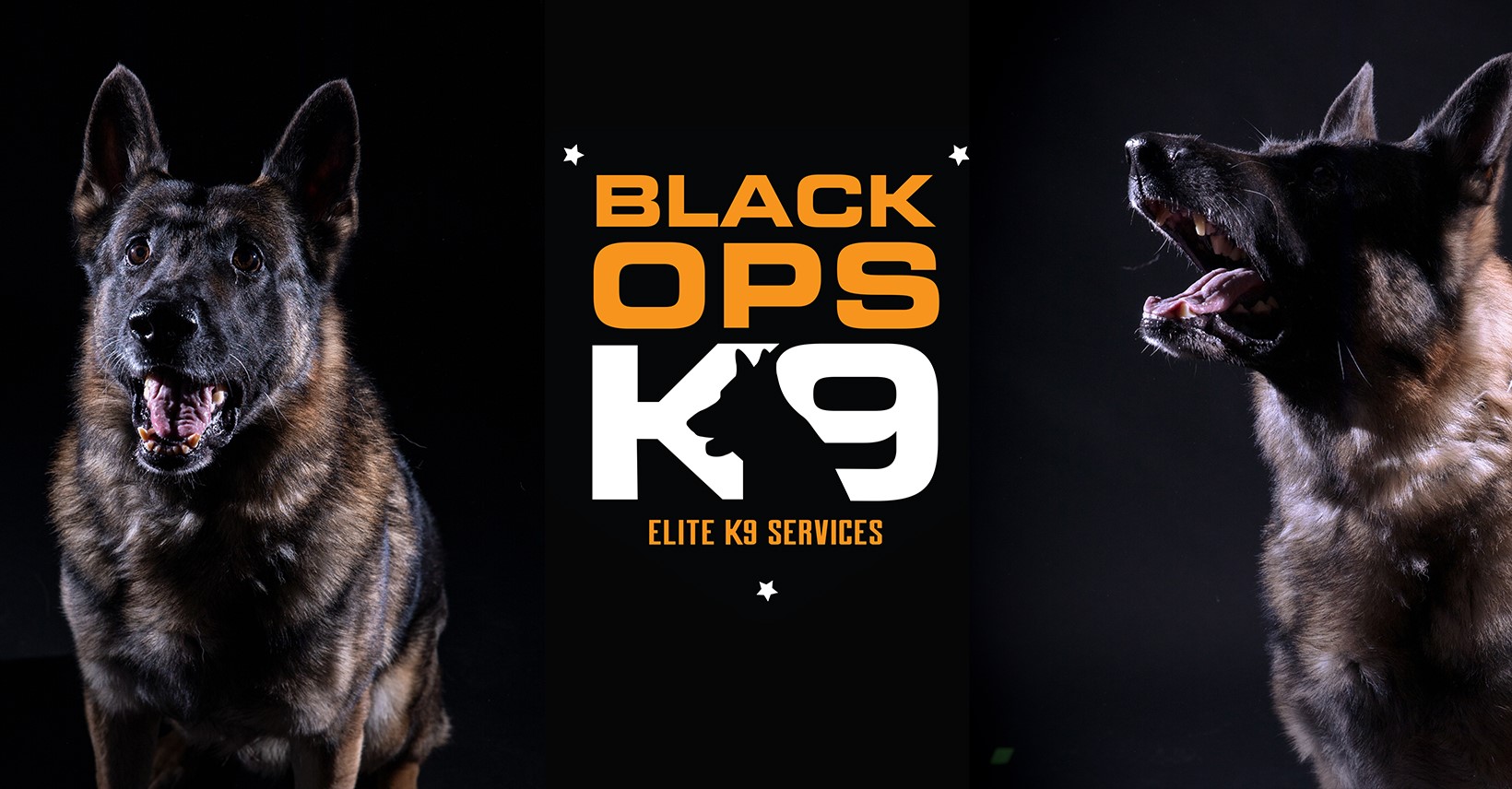 Black Ops K9