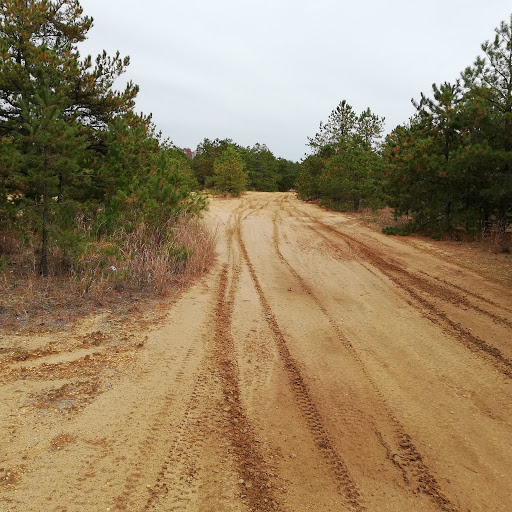 Golf Club «Pine Barrens Golf Club», reviews and photos, 540 S Hope Chapel Rd, Jackson, NJ 08527, USA