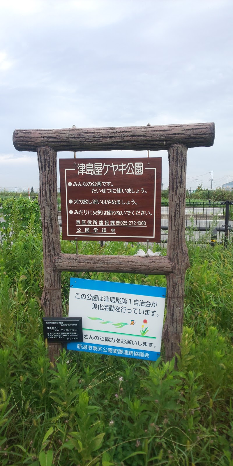 津島屋ケヤキ公園
