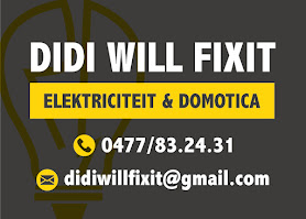 Didi will Fix it