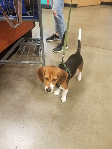 Pet Supply Store «PetSmart», reviews and photos, 2201 Gallatin Pike N, Madison, TN 37115, USA