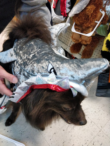 Pet Supply Store «PetSmart», reviews and photos, 2017 N Prospect Ave, Champaign, IL 61822, USA