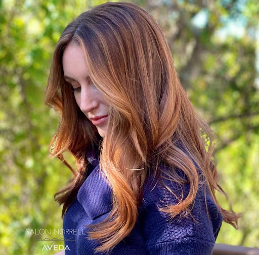 Spa «Aveda Level Salon Spa», reviews and photos, 720 S Village Cir, Tampa, FL 33606, USA