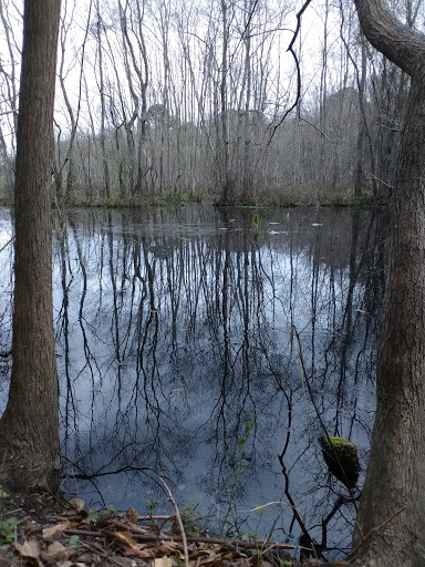 Public Golf Course «Lagoon Park Golf Course», reviews and photos, 2855 Lagoon Park Dr, Montgomery, AL 36109, USA