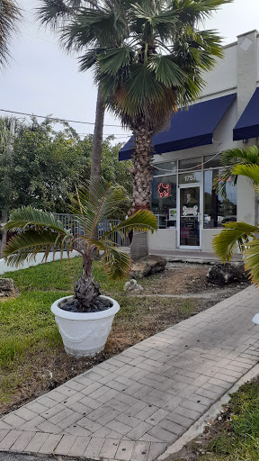 Pet Store «South Beach Pet Shop», reviews and photos, 634 6th St, Miami Beach, FL 33139, USA