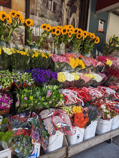 Grocery Store «Natural Market», reviews and photos, 7256 Austin St, Flushing, NY 11375, USA