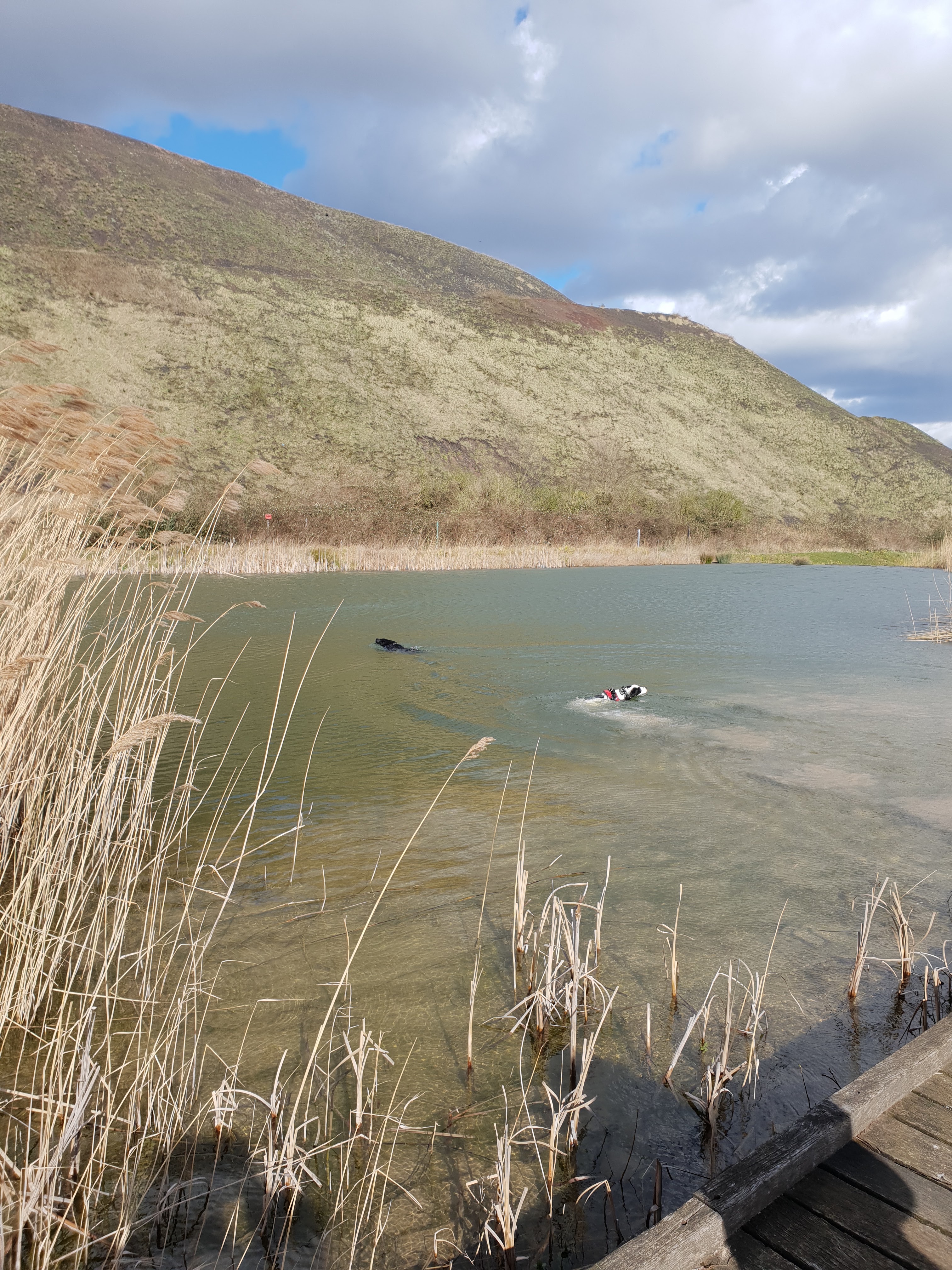 Photo n° 3 de l'avis de Cassandre.I fait le 19/03/2019 à 18:50