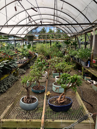 Wholesale Plant Nursery «Galloway Farm Nursery Inc.», reviews and photos, 7790 SW 87th Ave, Miami, FL 33173, USA