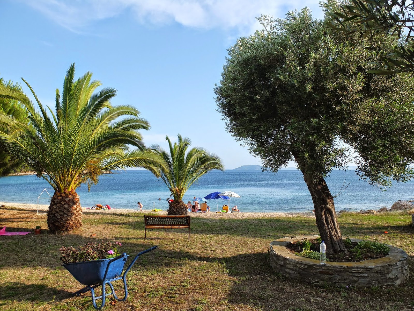 Fotografija Little Olive beach z visok stopnjo čistoče