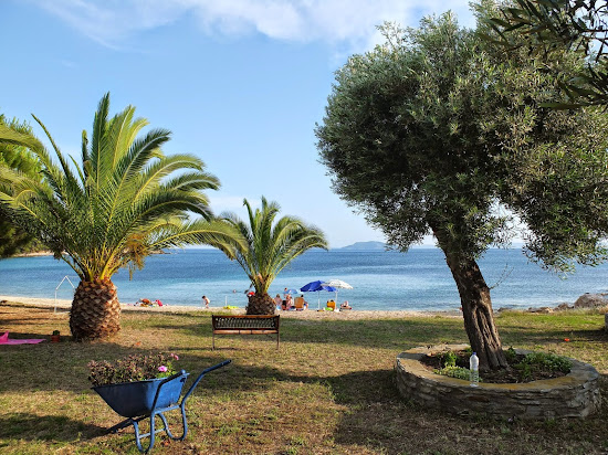 Little Olive beach