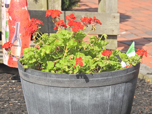 Bakery «Smithville Bakery & Coffee Shop», reviews and photos, 3 N New York Rd, Galloway, NJ 08205, USA