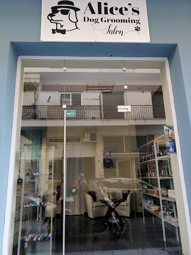 Alice's Dog Grooming Salon