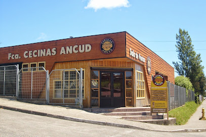 Cecinas Ancud Ltda.