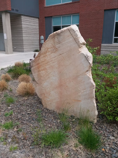 Grocery Store «Safeway», reviews and photos, 400 N Ruby St, Ellensburg, WA 98926, USA