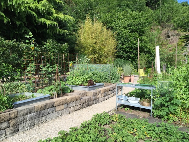 Rezensionen über Anrig Gartenbau AG in Buchs - Gartenbauer