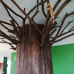 Photo n°6 de l'avis de Paola.o fait le 21/02/2022 à 11:56 sur le  Urban Jungle à Vairano Scalo