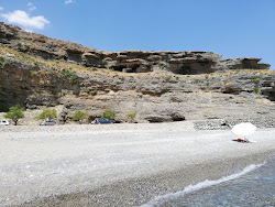 Agios Charalambos beach'in fotoğrafı vahşi alan