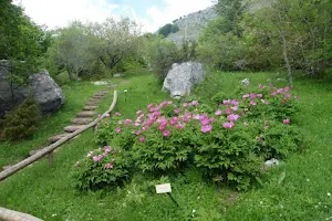 Giardino Botanico "Maria Ansaldi" Pania di Corfino image