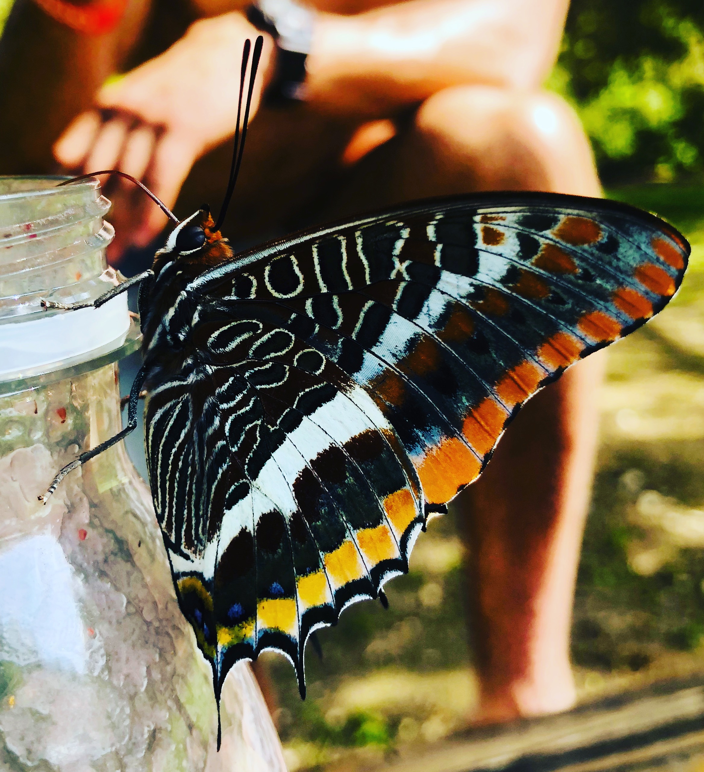 Photo n° 5 de l'avis de Anthony.a fait le 30/06/2018 à 14:39