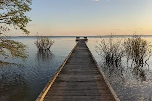 Pettigrew State Park image