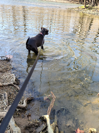 Nature Preserve «Caesar Creek Gorge State Nature Preserve», reviews and photos, 4080 Corwin Rd, Oregonia, OH 45054, USA