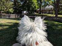 Northside Pet Services - Photo 6 - Car repair in Indianapolis, IN, Indianapolis