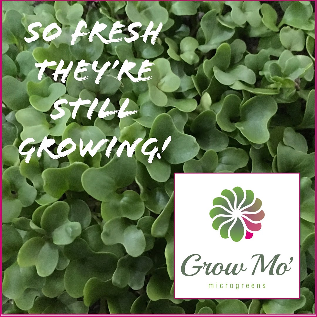 Grow Mo Microgreens - Urban Farming