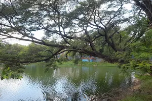 Kachahari Talab park image