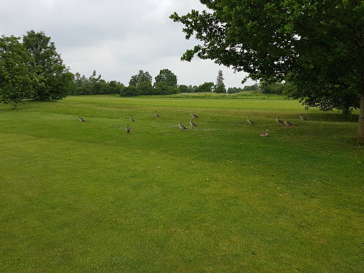 Golfpark Kurpfalz