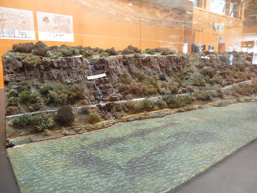 Nature Preserve «Greenbrook Nature Sanctuary», reviews and photos, Green Brook Rd, Tenafly, NJ 07670, USA