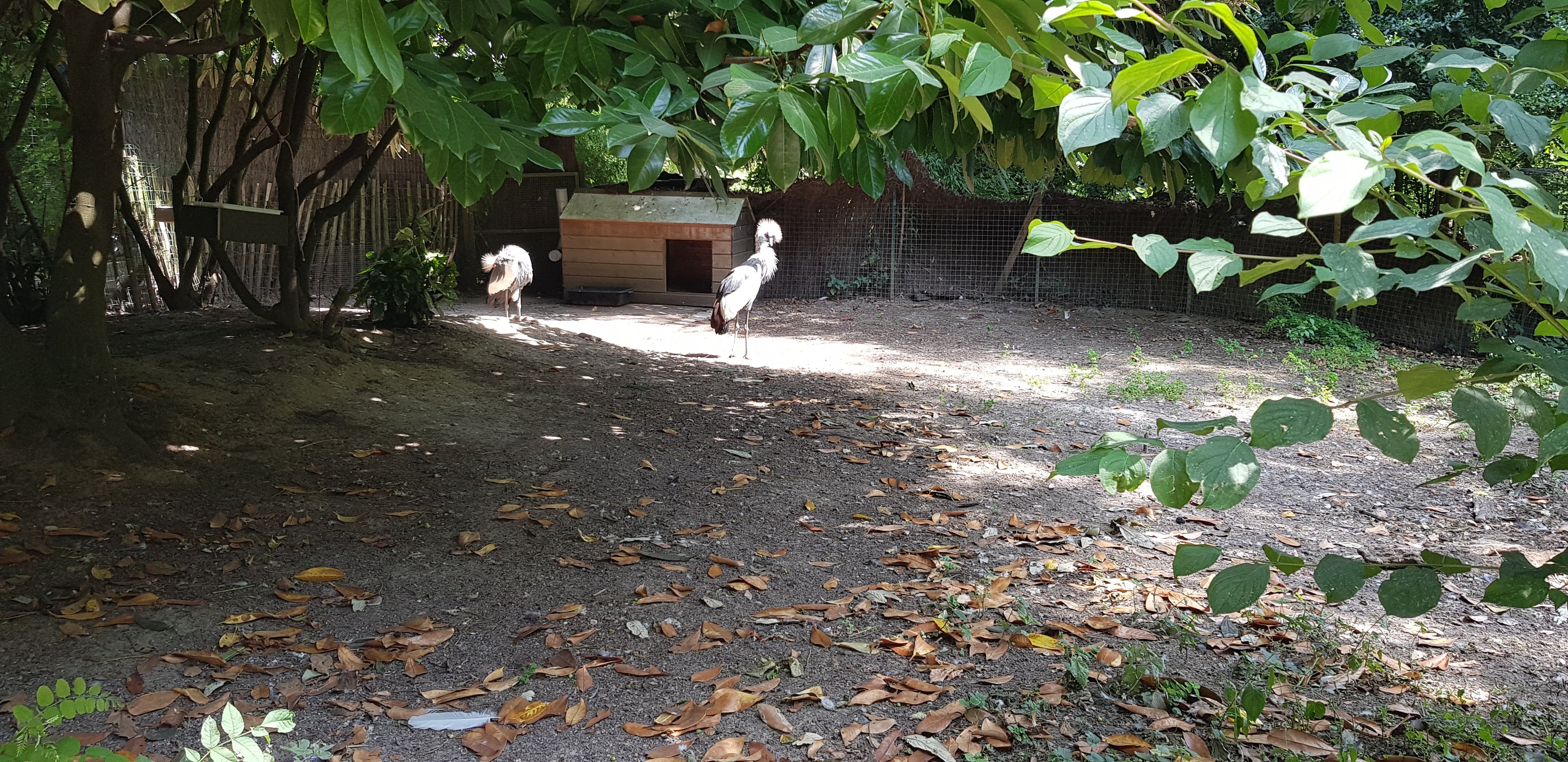 Photo n° 41 de l'avis de Nuk3d.t fait le 13/10/2019 à 18:58