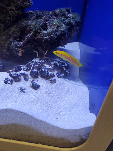 Pet Store «Bird Dog & Catfish», reviews and photos, 115 Old Boerne Rd, Bulverde, TX 78163, USA