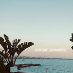 Photo n°1 de l'avis de fabrizio.o fait le 26/07/2022 à 20:10 sur le  Ristorante La Vinaigrette à Gallipoli