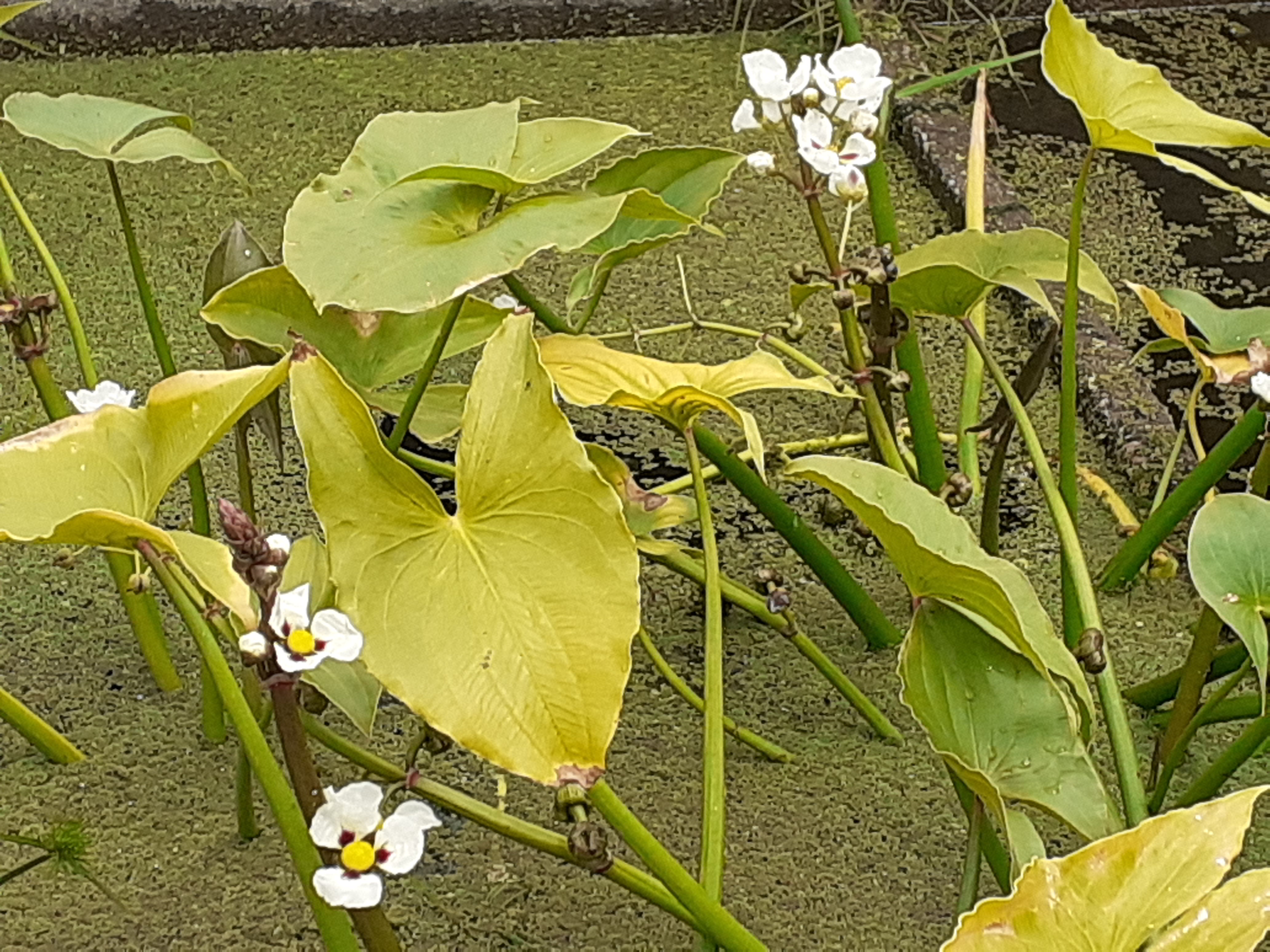 Photo n° 33 de l'avis de Kirenia.e fait le 22/05/2021 à 17:27