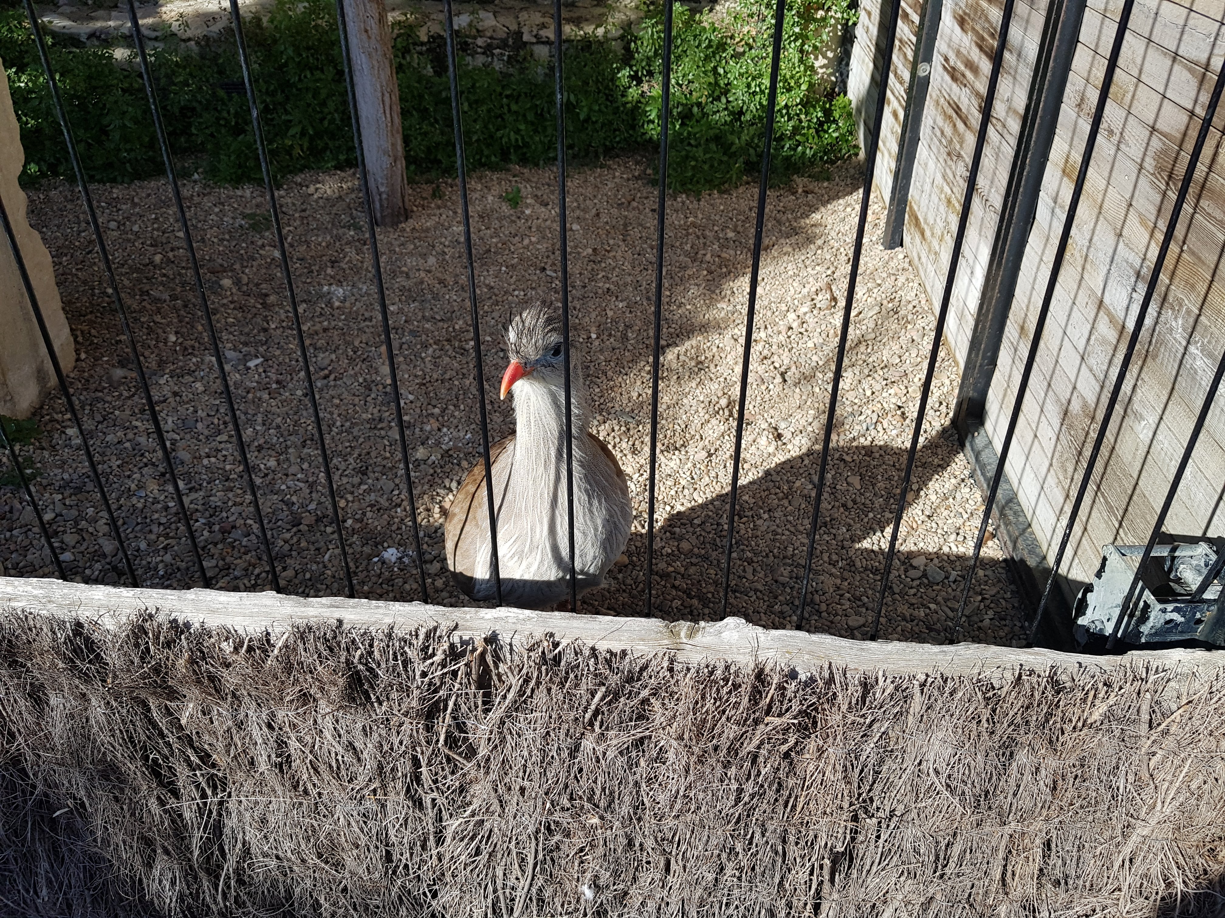 Photo n° 13 de l'avis de Alexandre.L fait le 24/09/2017 à 17:00