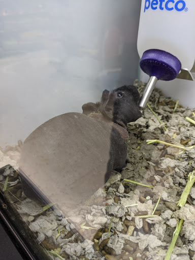 Pet Supply Store «Petco Animal Supplies», reviews and photos, 8800 Tampa Ave, Northridge, CA 91324, USA