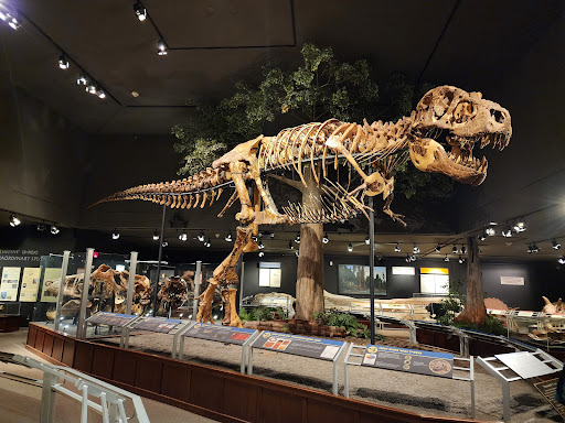 Museum of the Rockies, 600 W Kagy Blvd, Bozeman, MT 59717