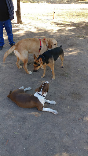 Dog Park «Marco Dog Park», reviews and photos, 1800 Sierra Gardens Dr, Roseville, CA 95661, USA