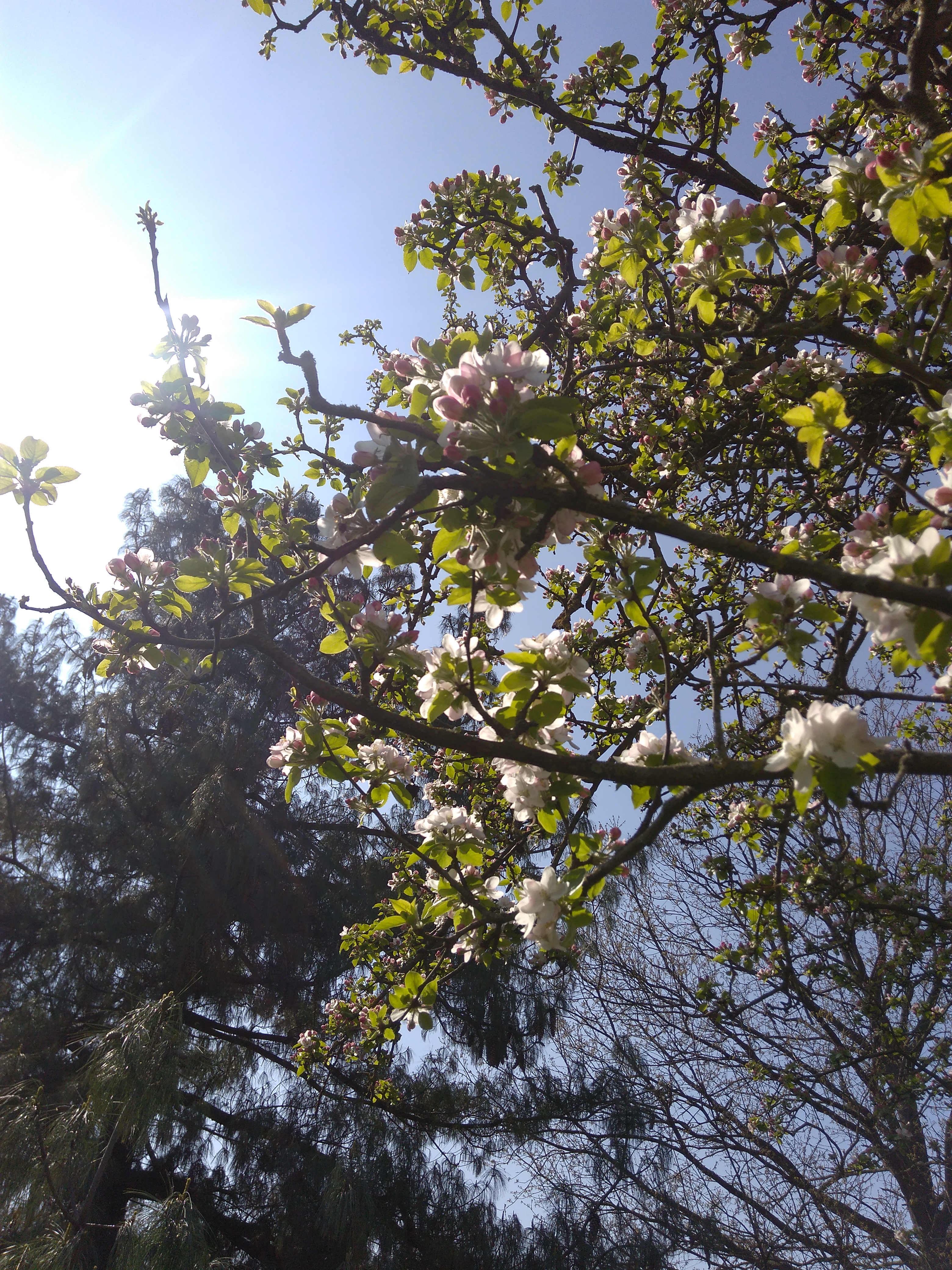 Photo n° 4 de l'avis de Nicolas.a fait le 07/04/2017 à 14:41
