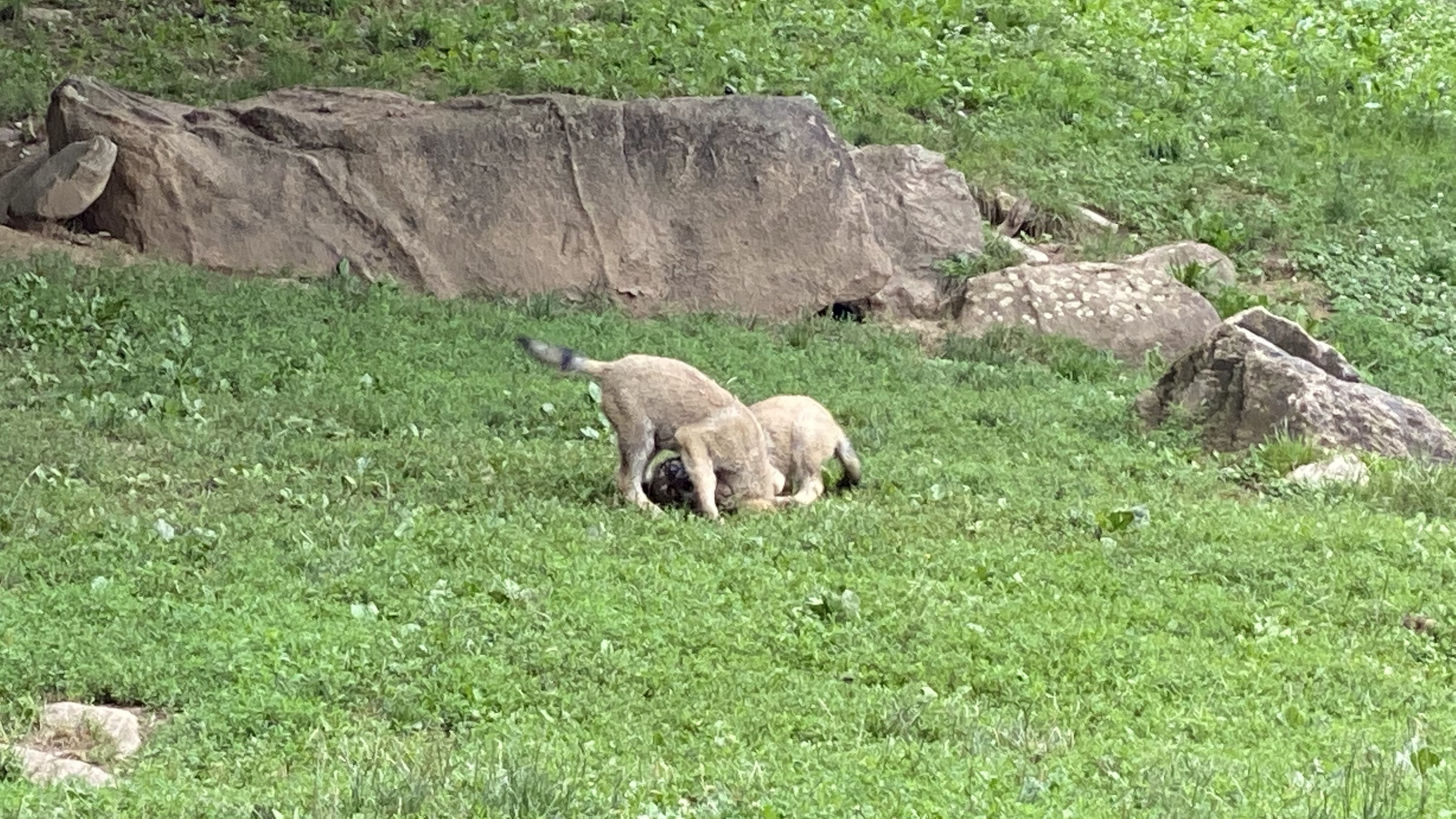 Photo n° 16 de l'avis de Jérémie.o fait le 10/07/2021 à 20:40