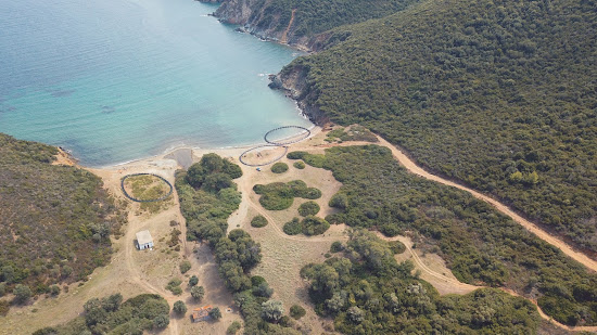 Paralia Ampelos