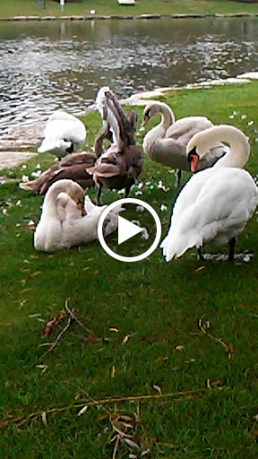 Performing Arts Theater «Prairie Center For the Arts», reviews and photos, 201 Schaumburg Ct, Schaumburg, IL 60193, USA