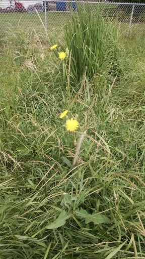 Park «New Haven Park», reviews and photos, New Haven Ave, Aurora, IL 60506, USA