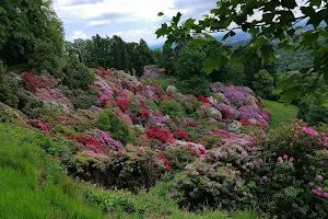 Parco Burcina Felice Piacenza image