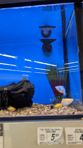 Pet Supply Store «Petco Animal Supplies», reviews and photos, 10315 E Shelby Dr, Collierville, TN 38017, USA