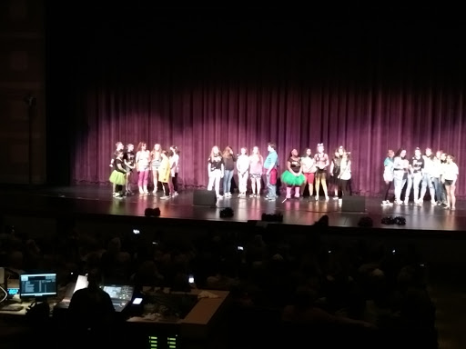 Performing Arts Theater «John R. Armstrong Performing Arts Center», reviews and photos, 24600 Frederick Pankow Blvd, Charter Twp of Clinton, MI 48036, USA