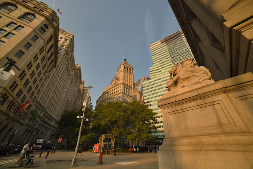 Tourist Attraction «Sussex County Sunflower Maze», reviews and photos, 101 Co Rd 645, Sandyston, NJ 07826, USA