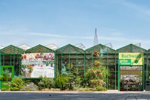 Buchwald Pflanzencenter image